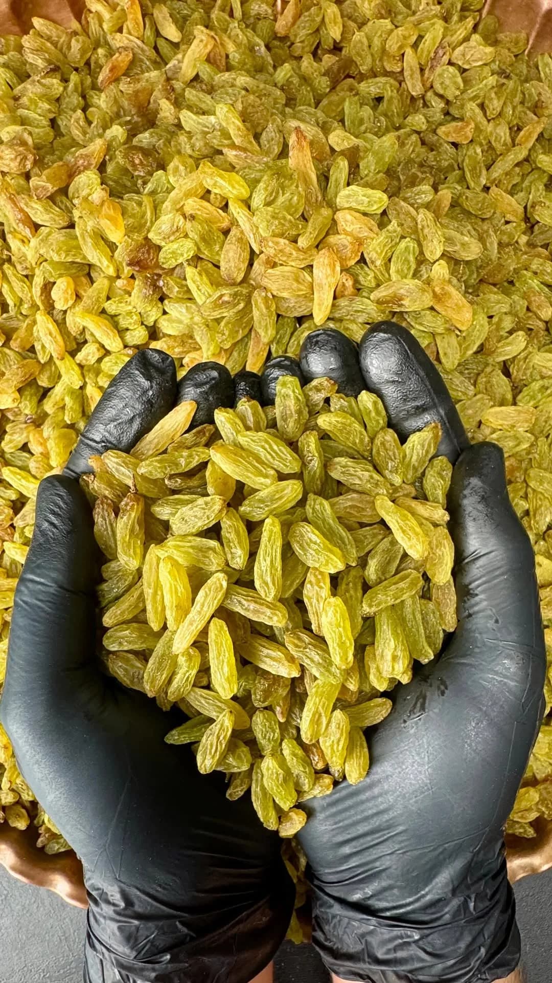 کشمش سبز ارگانیک، رنگ زرد و طلایی