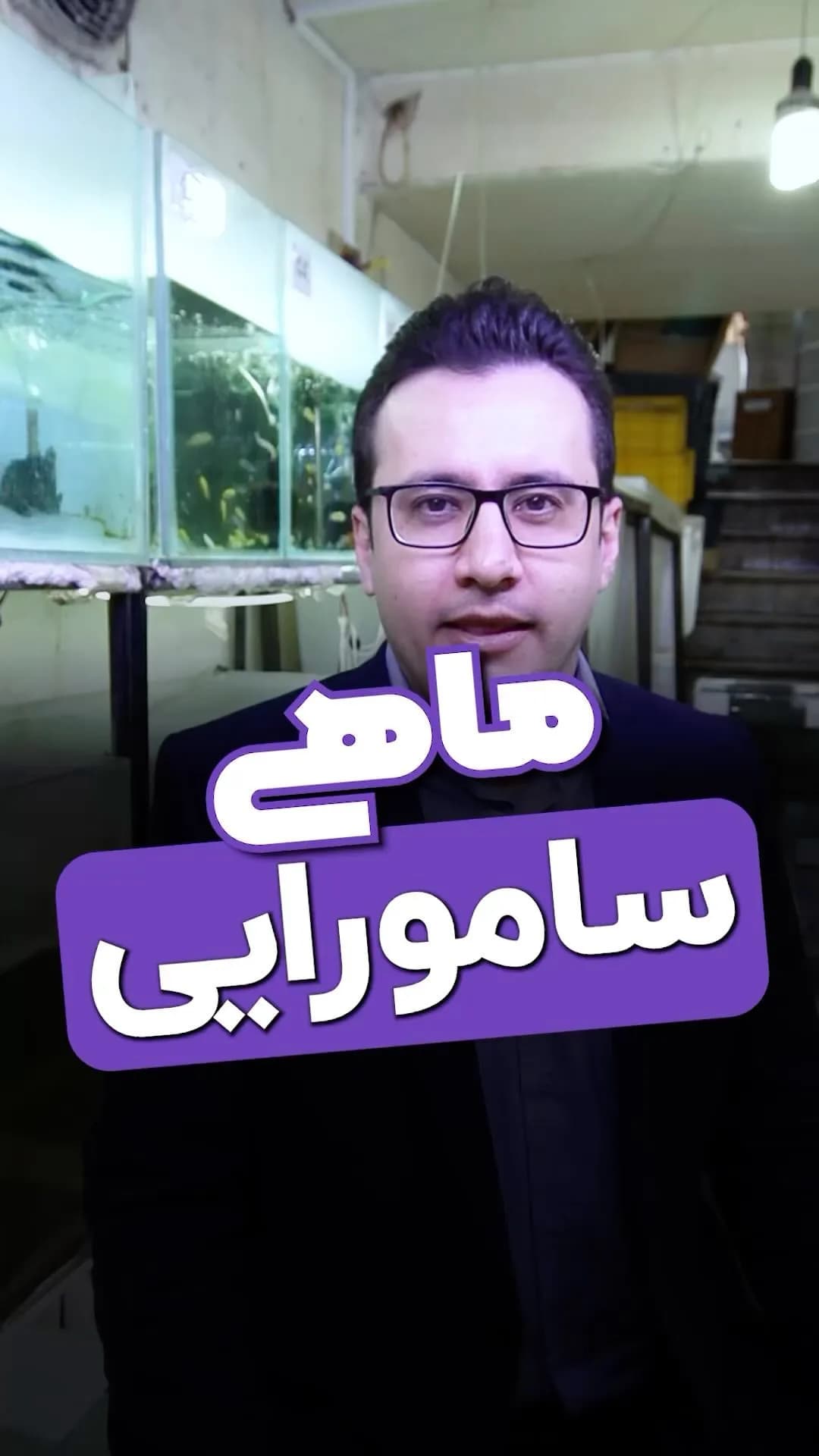 ماهی کوی