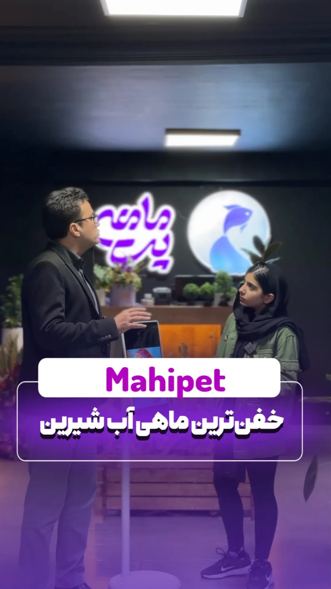 ماهی دیسکس