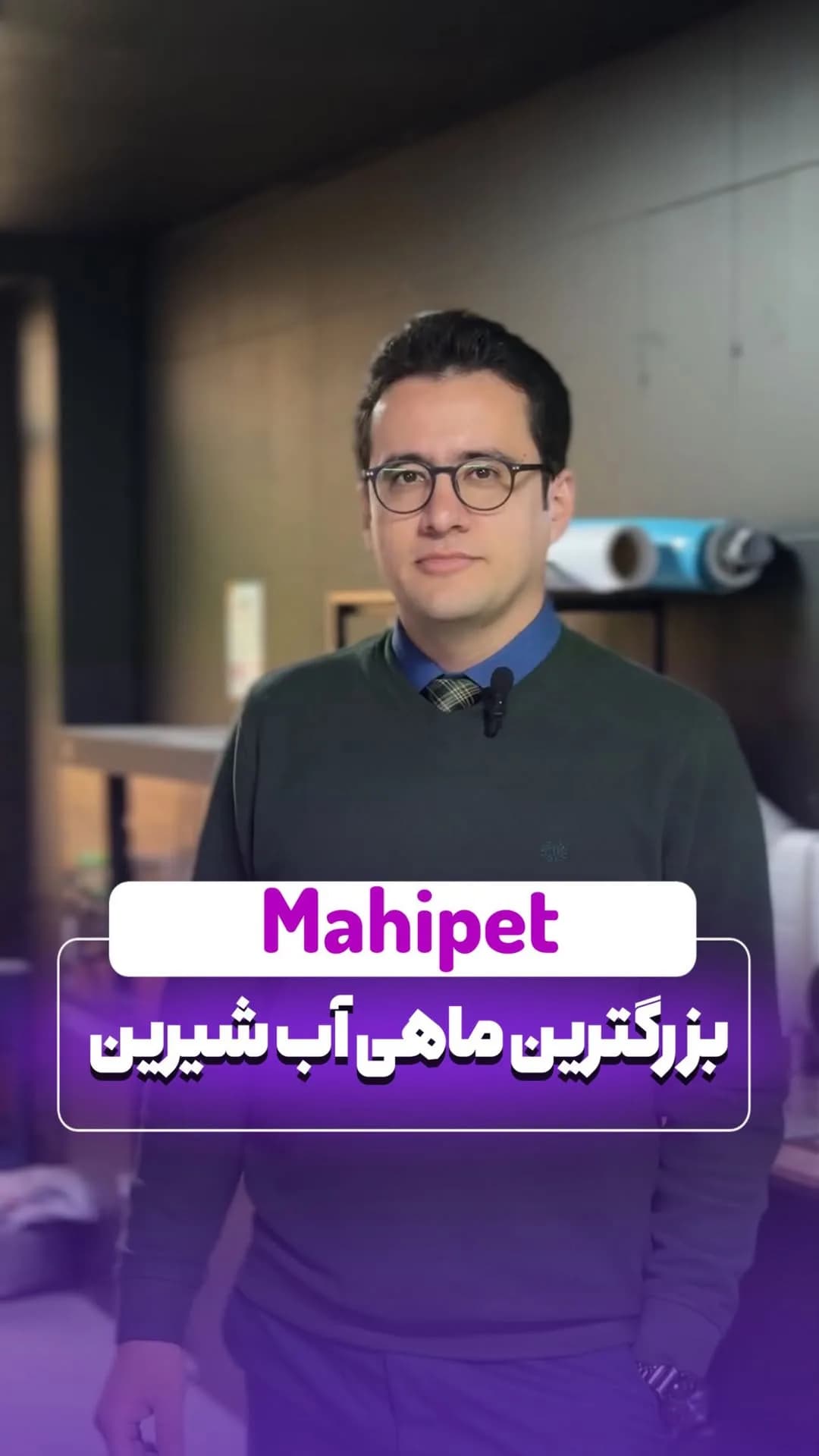 ماهی آراپایما گیگاس ۱۰ تا ۱۵ سانت