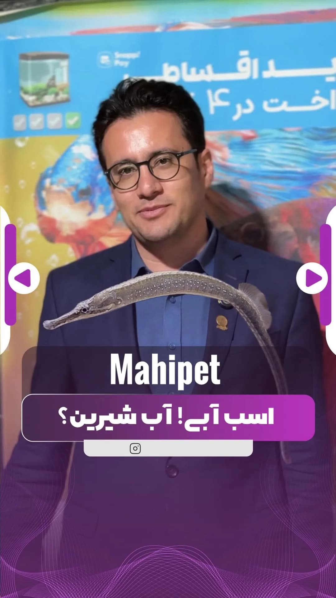 ماهی پایپفیش