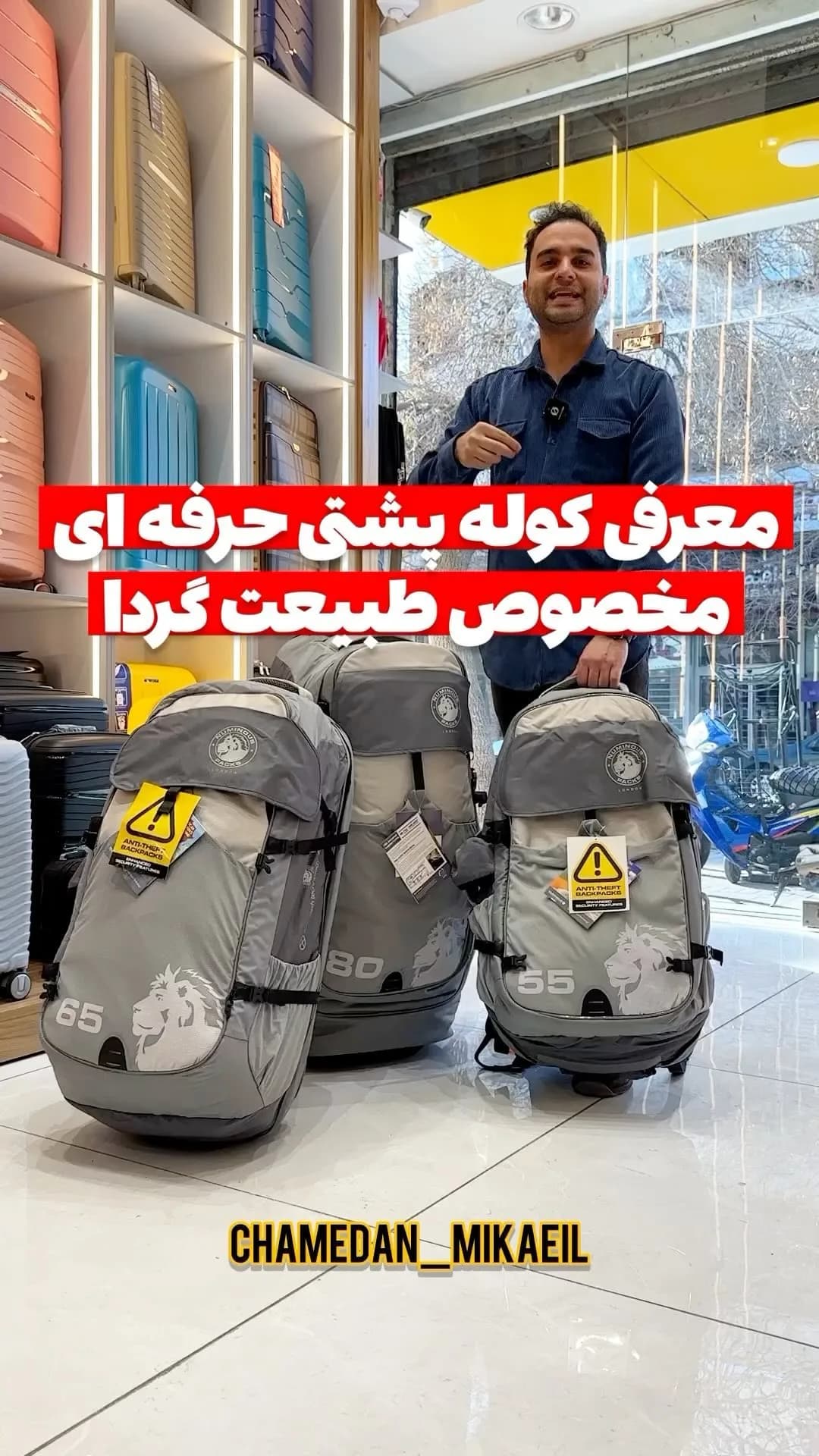 کولهپشتی حرفهای