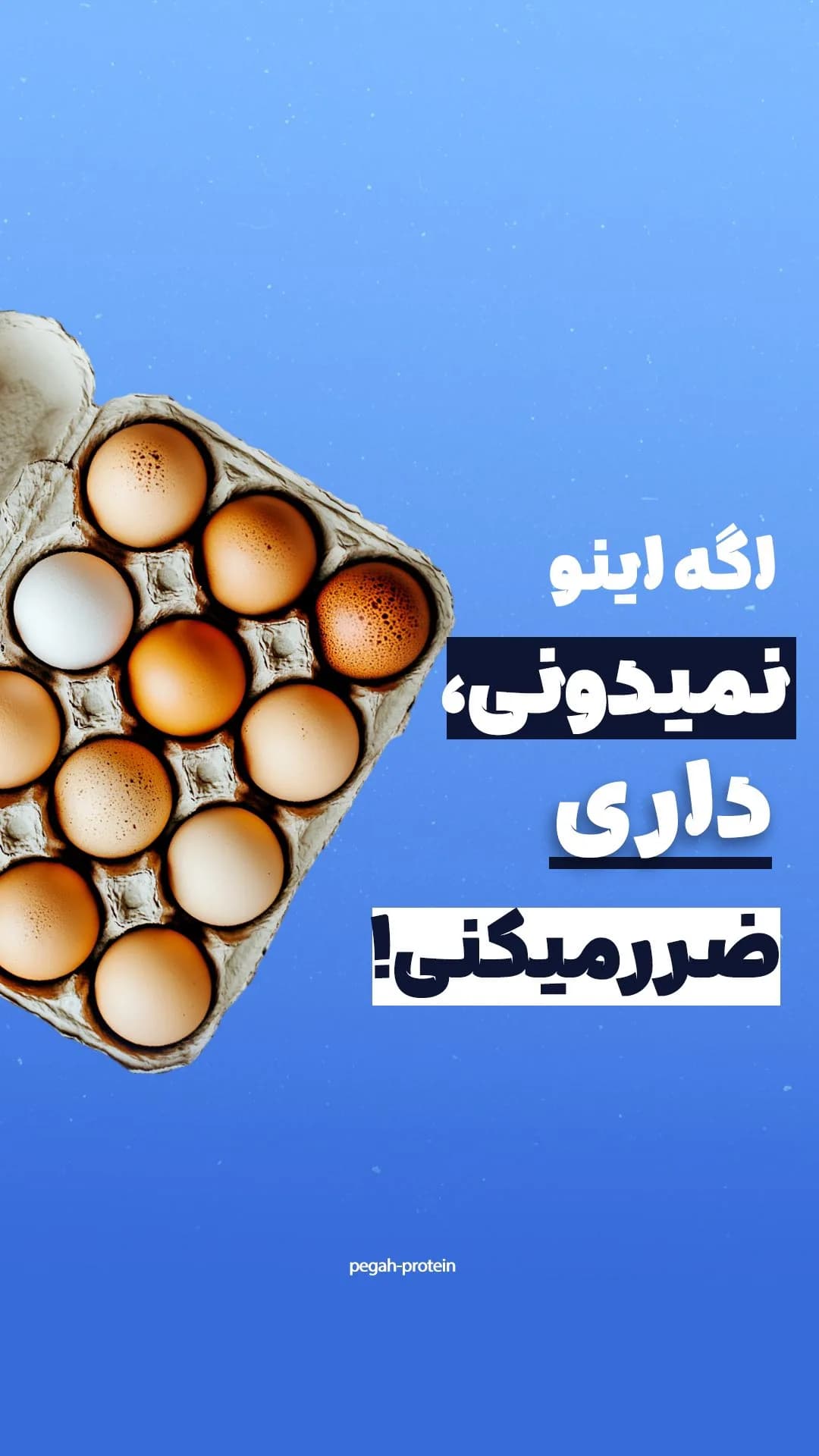 پودر سفیده تخممرغ آلبومین