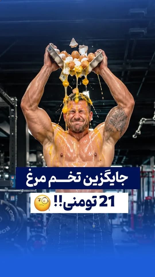 پودر سفیده تخم مرغ ۸۰ درصد آلبومین مگز