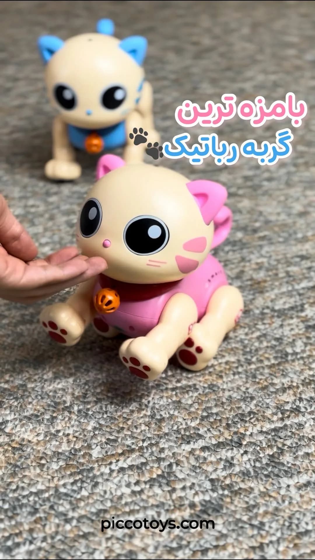 گربه رباتیک کنترلی