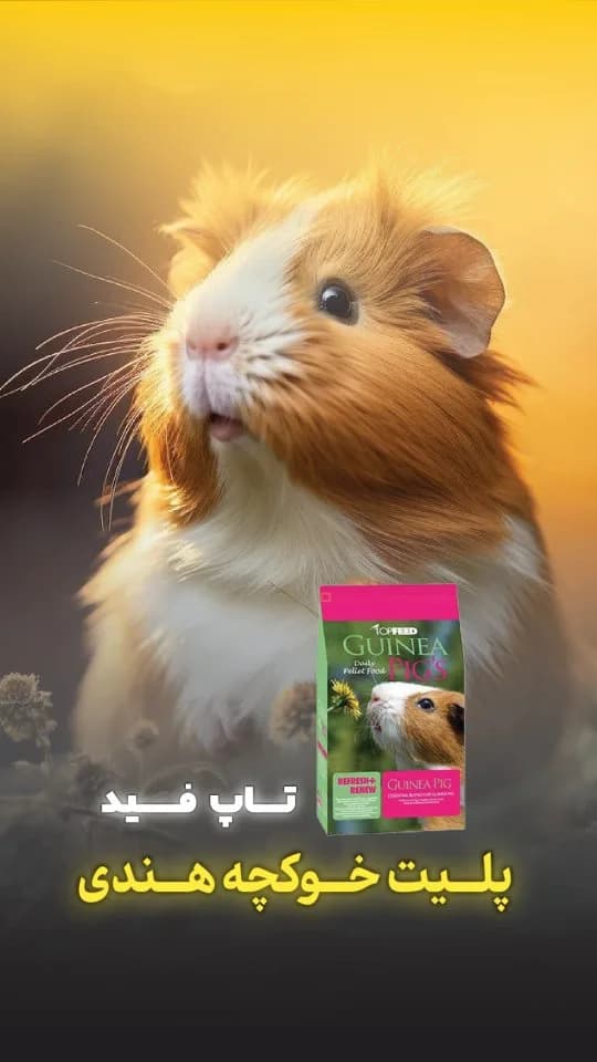 غذای خوکچه هندی تاپ فید، رنگ سبز و صورتی، پاکت ایستاده