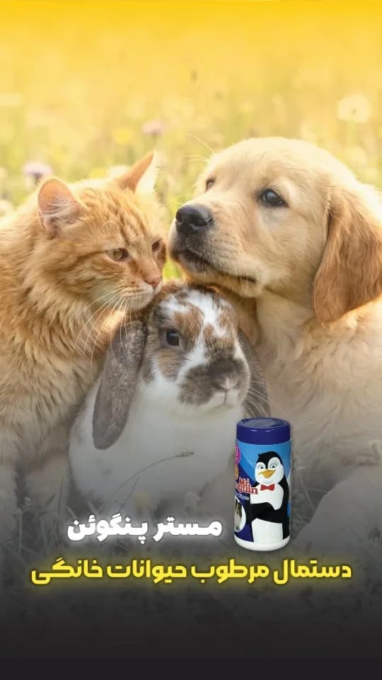 دستمال مرطوب حیوانات خانگی مستر پنگوئن، رنگ آبی و سفید، ظرف استوانهای