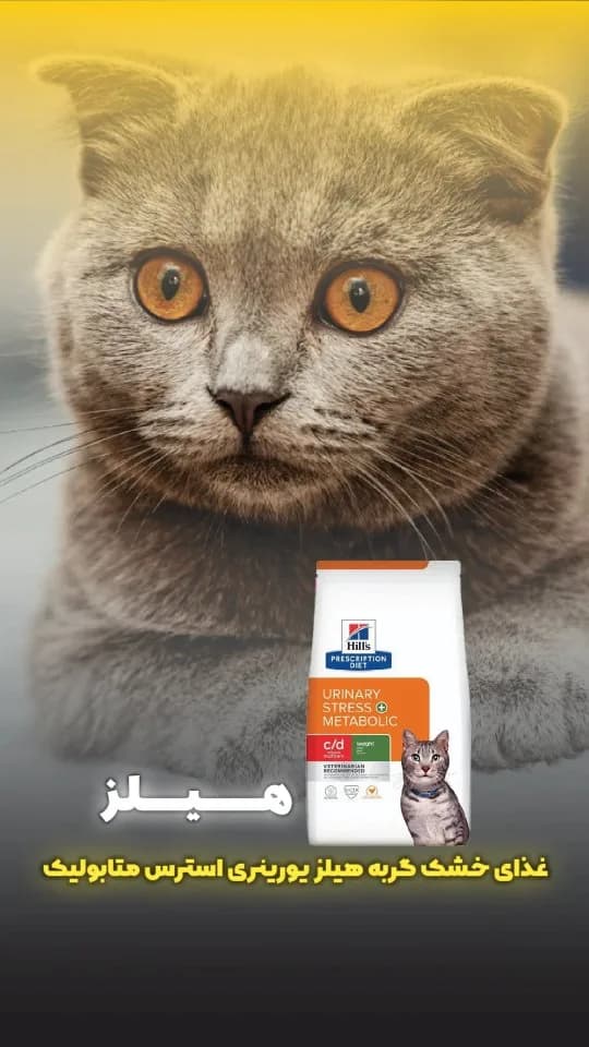 غذای خشک گربه یورینری استرس متابولیک ۱.۵ کیلوگرم هیلز، رنگ سفید و نارنجی، جنس پلاستیک، کیسه