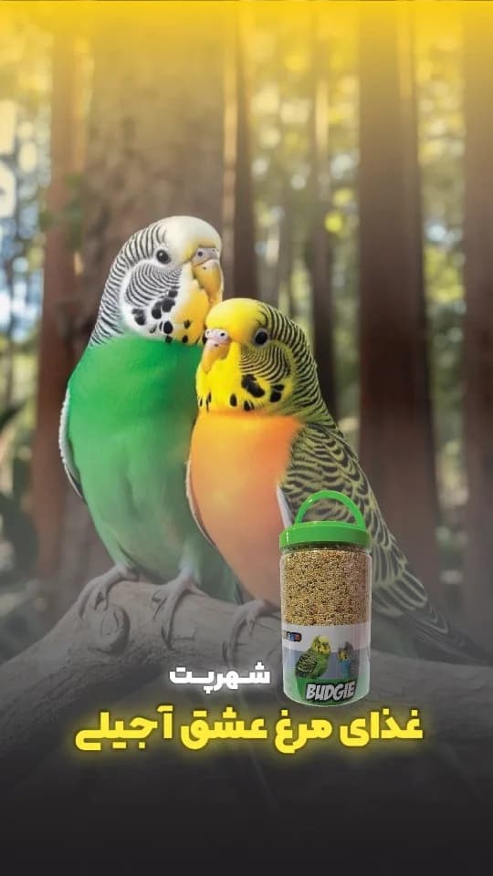 غذای آجیلی مرغ عشق شهرپت، رنگ سبز و سفید، جنس پلاستیک، قوطی استوانهای