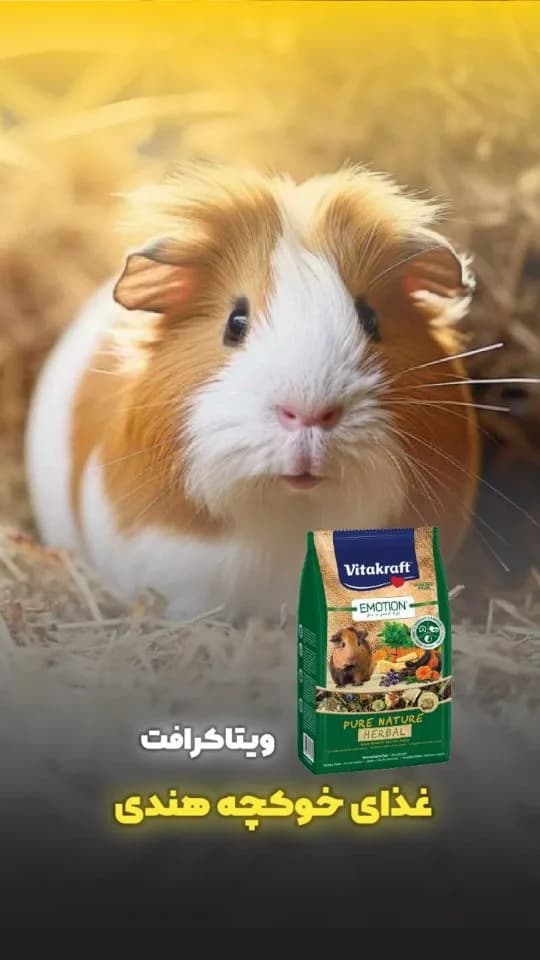 غذای خوکچه هندی هربال ویتاکرافت، رنگ سبز، سفید و قهوهای، جنس پاکت کاغذی، بسته بندی ایستاده