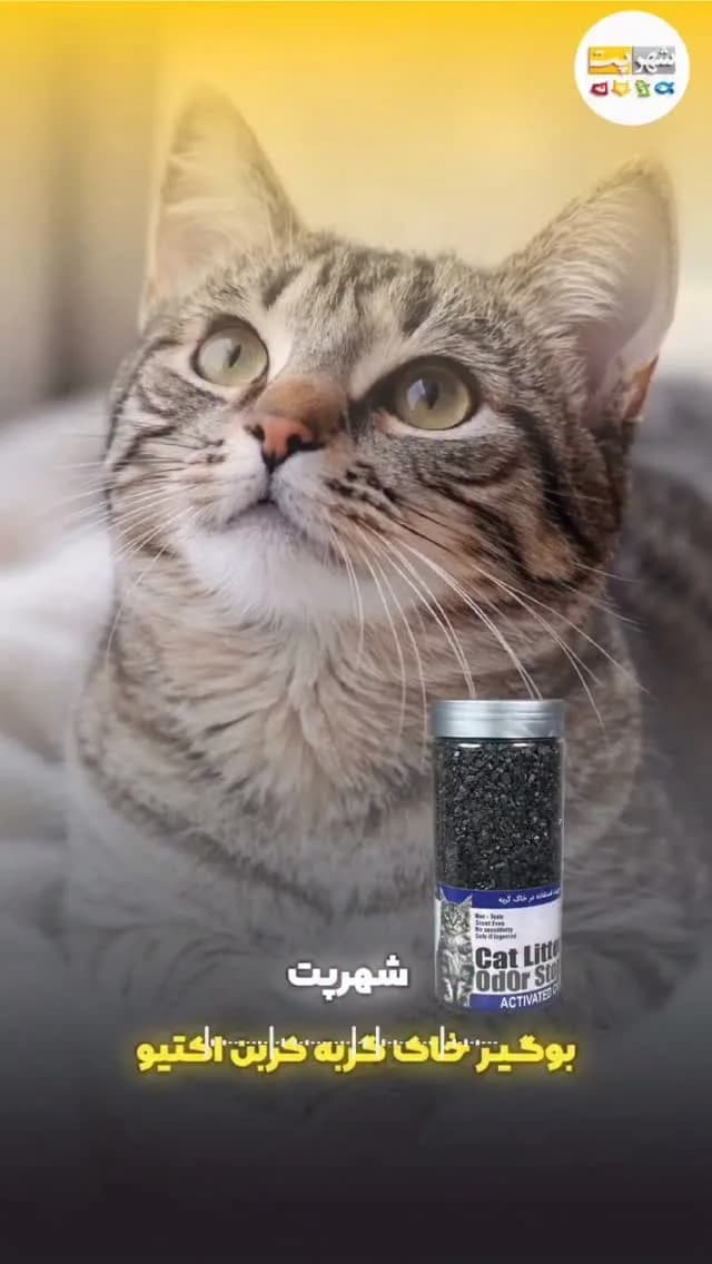 بوگیر خاک گربه، رنگ خاکستری و مشکی، جنس پلاستیک، بطری استوانهای
