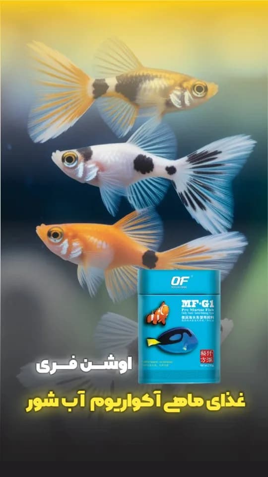 غذای ماهی آب شور MF-G1، رنگ آبی و زرد، جنس پلاستیک، قوطی استوانهای