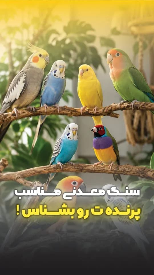 سنگ معدنی مکمل پرنده