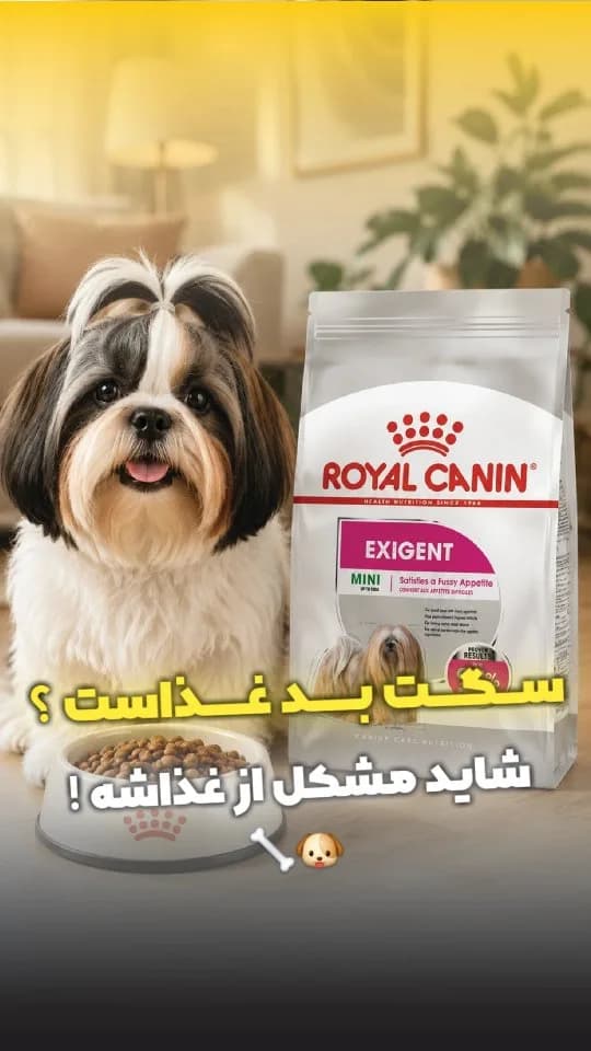 غذای خشک سگ بدغذا نژاد کوچک رویال کنین