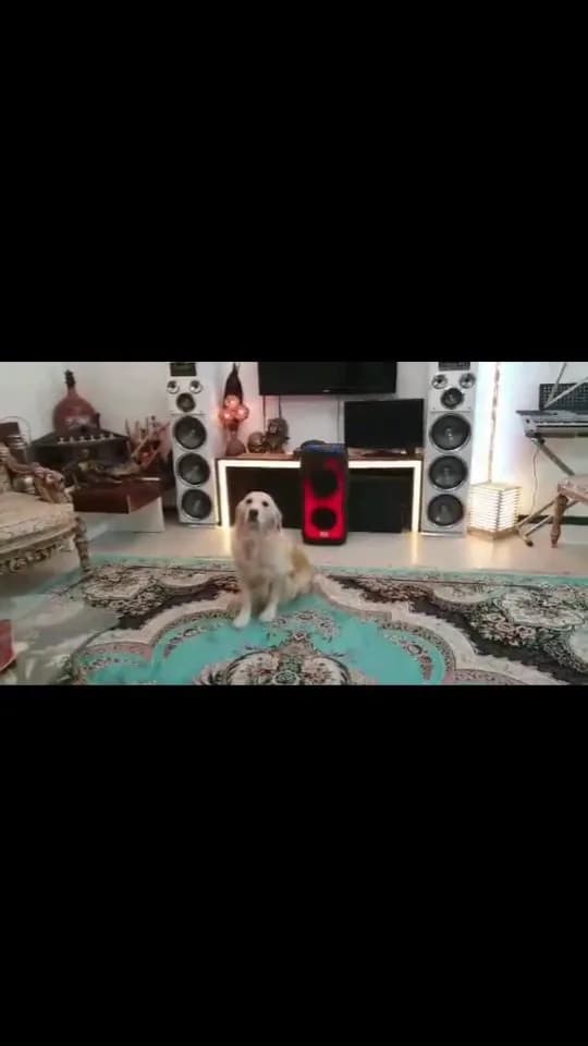 اسپیکر شارژی، رنگ مشکی و قرمز، جنس پلاستیک، ایستاده، نوردار