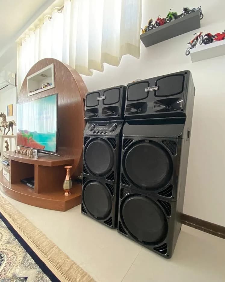 اسپیکر Dj 222