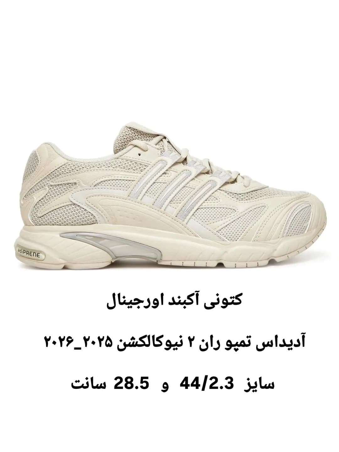 کفش کتانی