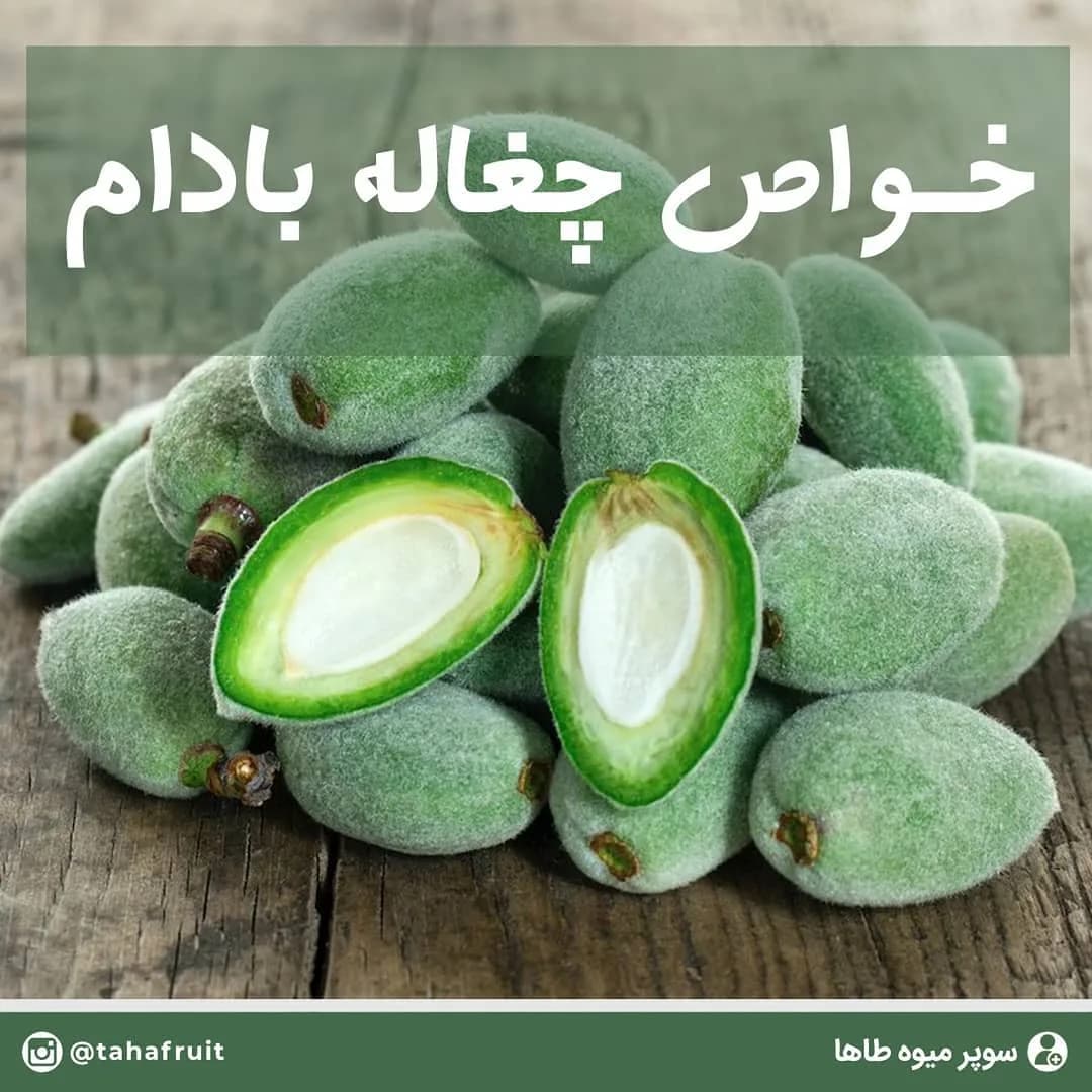 چغاله بادام