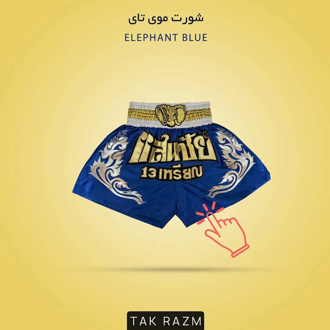 شورت موی تای، رنگ آبی، طلایی و نقرهای، کوتاه کمر کش