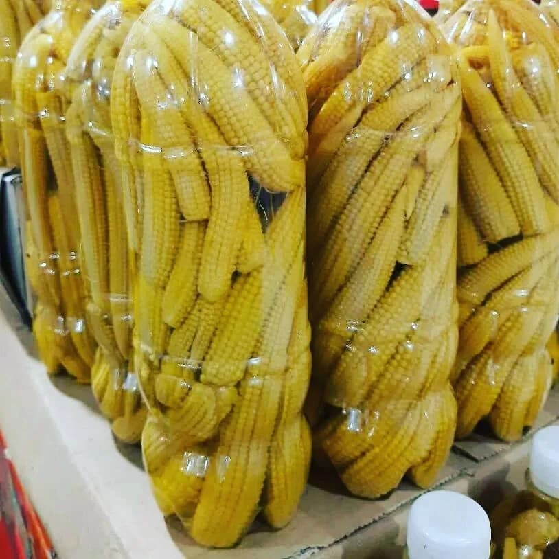 بلال مینیاتوری شور