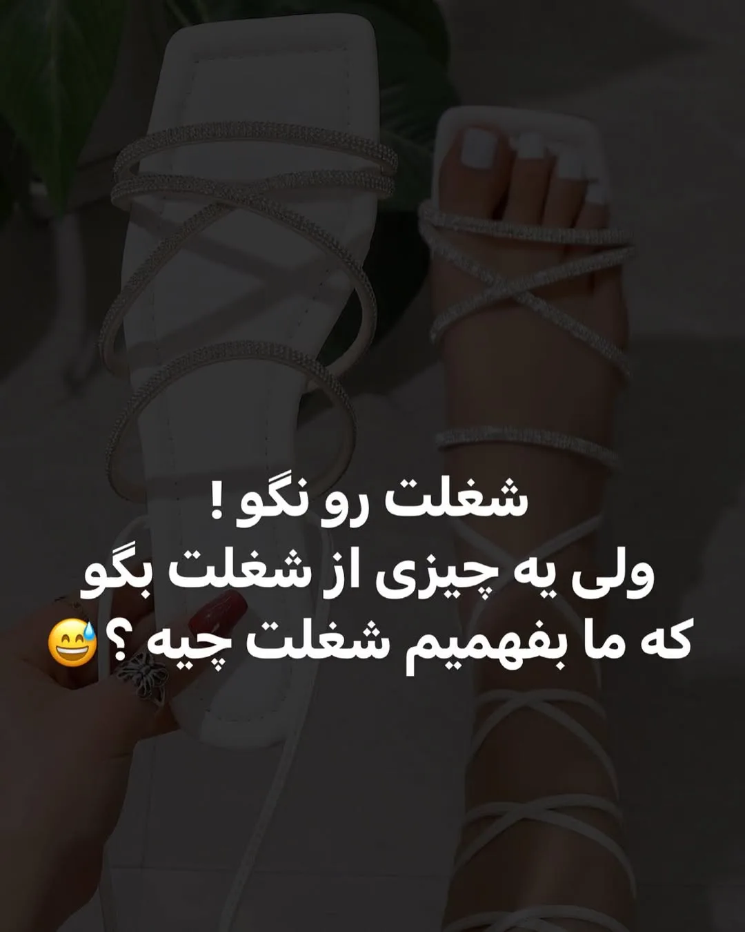 صندل، رنگ سفید، بندی، تخت