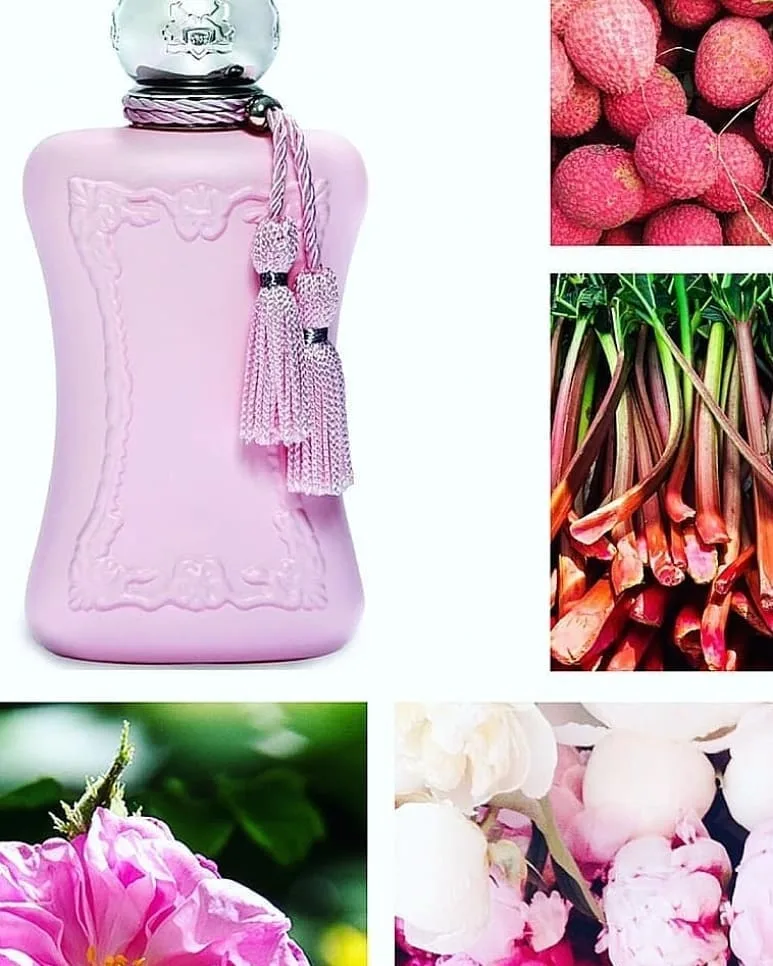عطر دلینا زنانه — عکس ۲