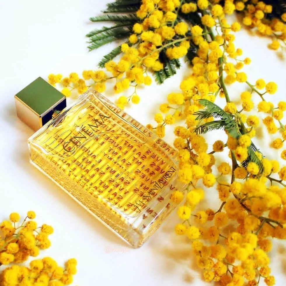 عطر سینما زنانه — عکس ۳