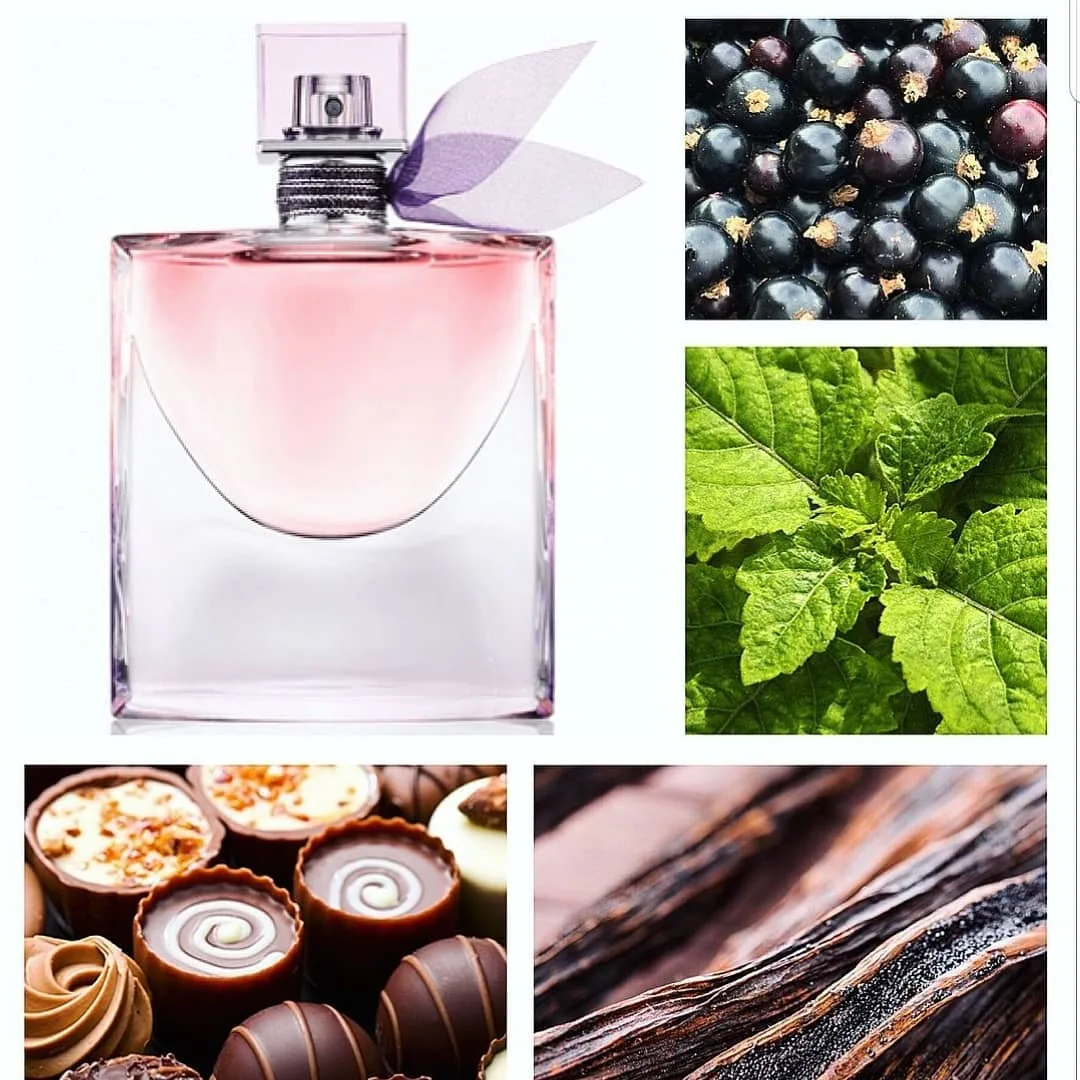 عطر لاویه است بله — عکس ۳