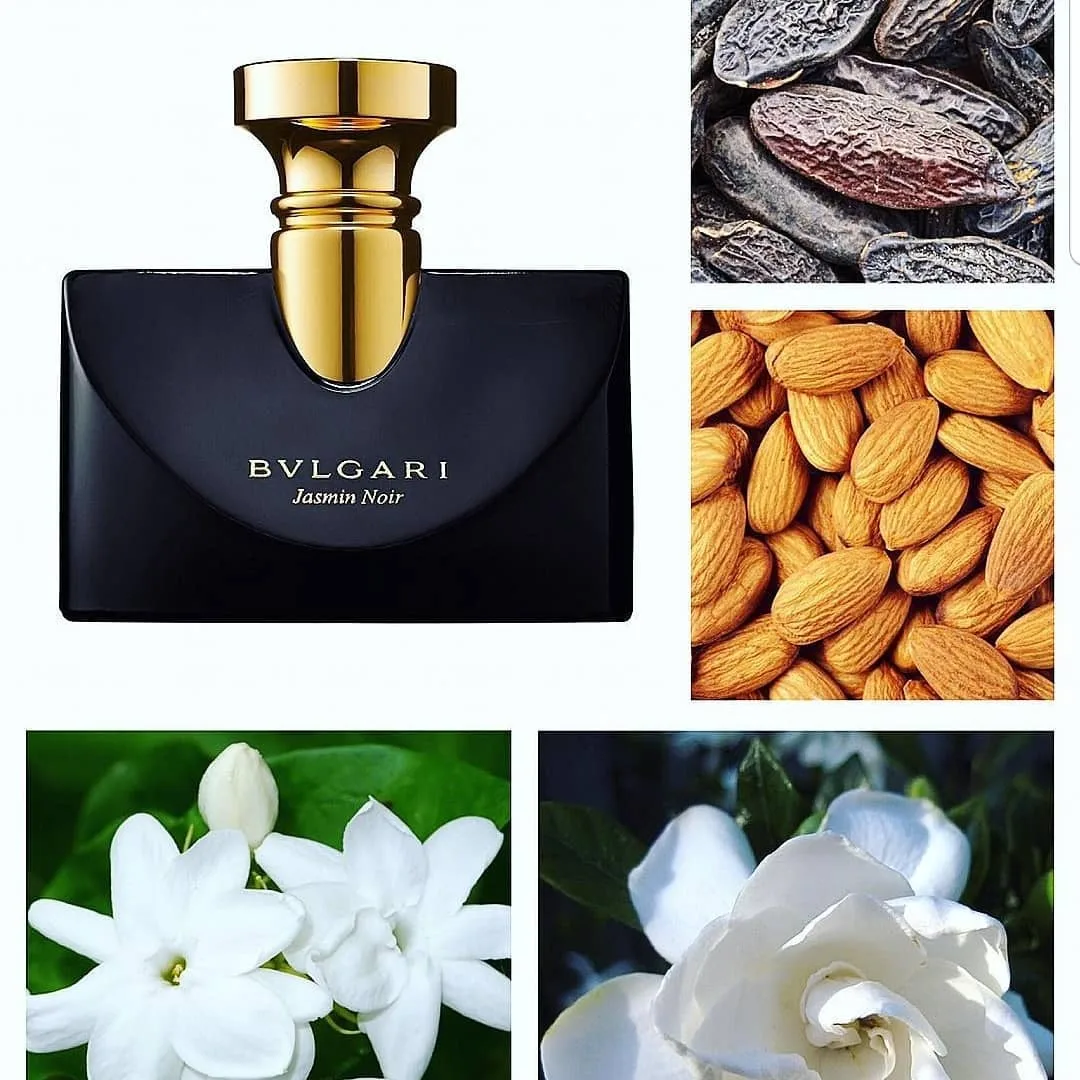 عطر جاسمین نویر — عکس ۴