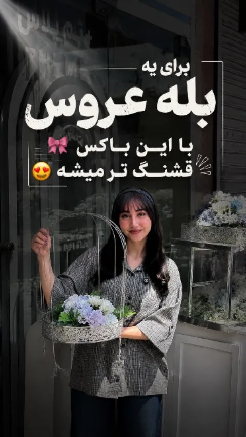 باکس بله‌برون، رنگ سفید و آبی، جنس فلز و گیاه، سبد فلزی با دسته قوسی