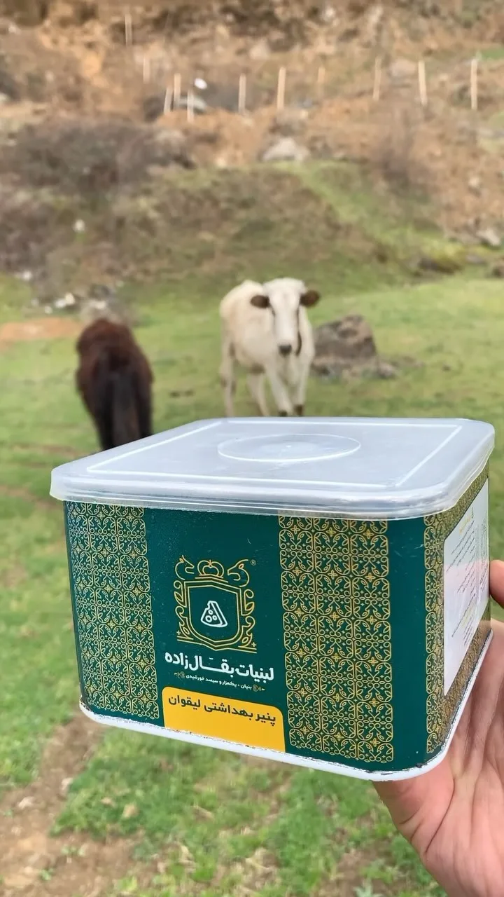 پنیر لیقوان، رنگ سفید و سبز، جنس پلاستیک، ظرف مربعی