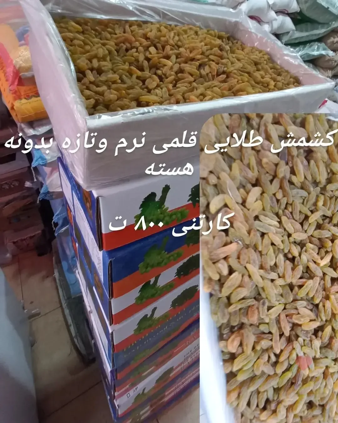 کشمش طلایی قلمی بدون هسته کارتنی