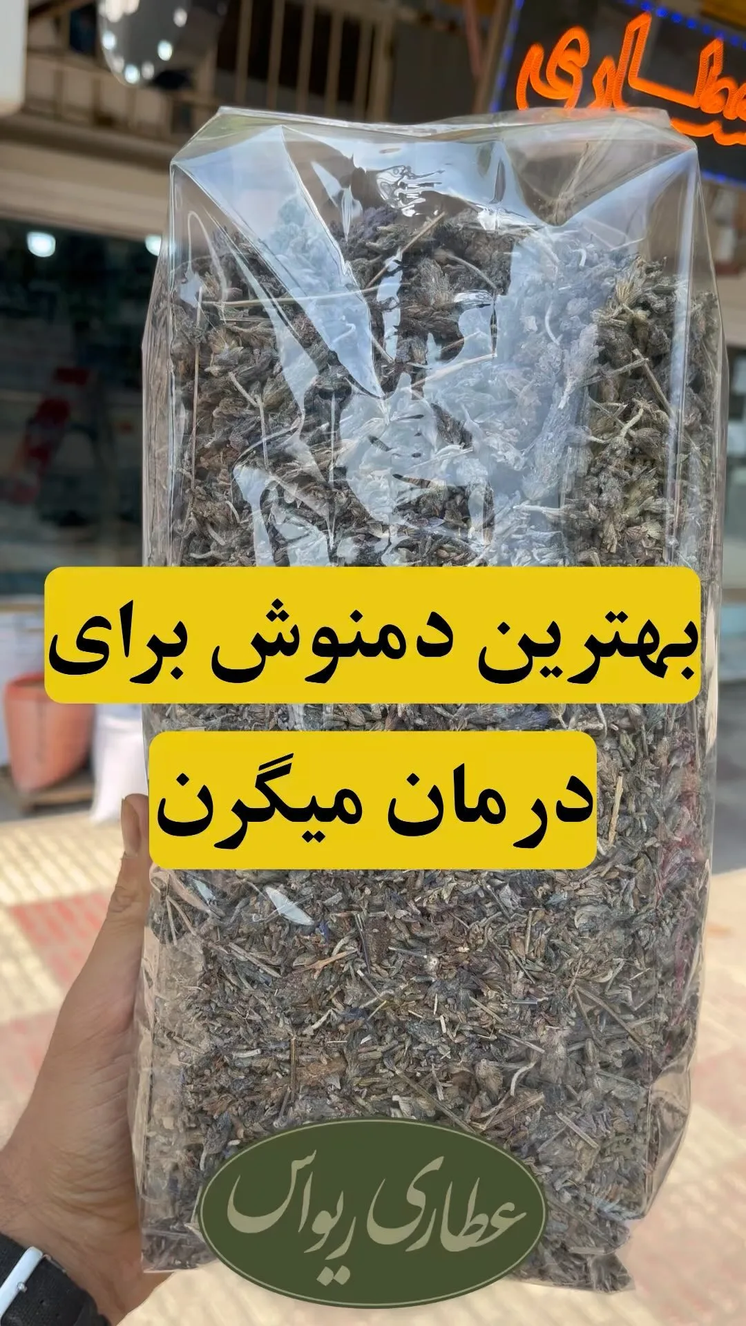 اسطوخودوس