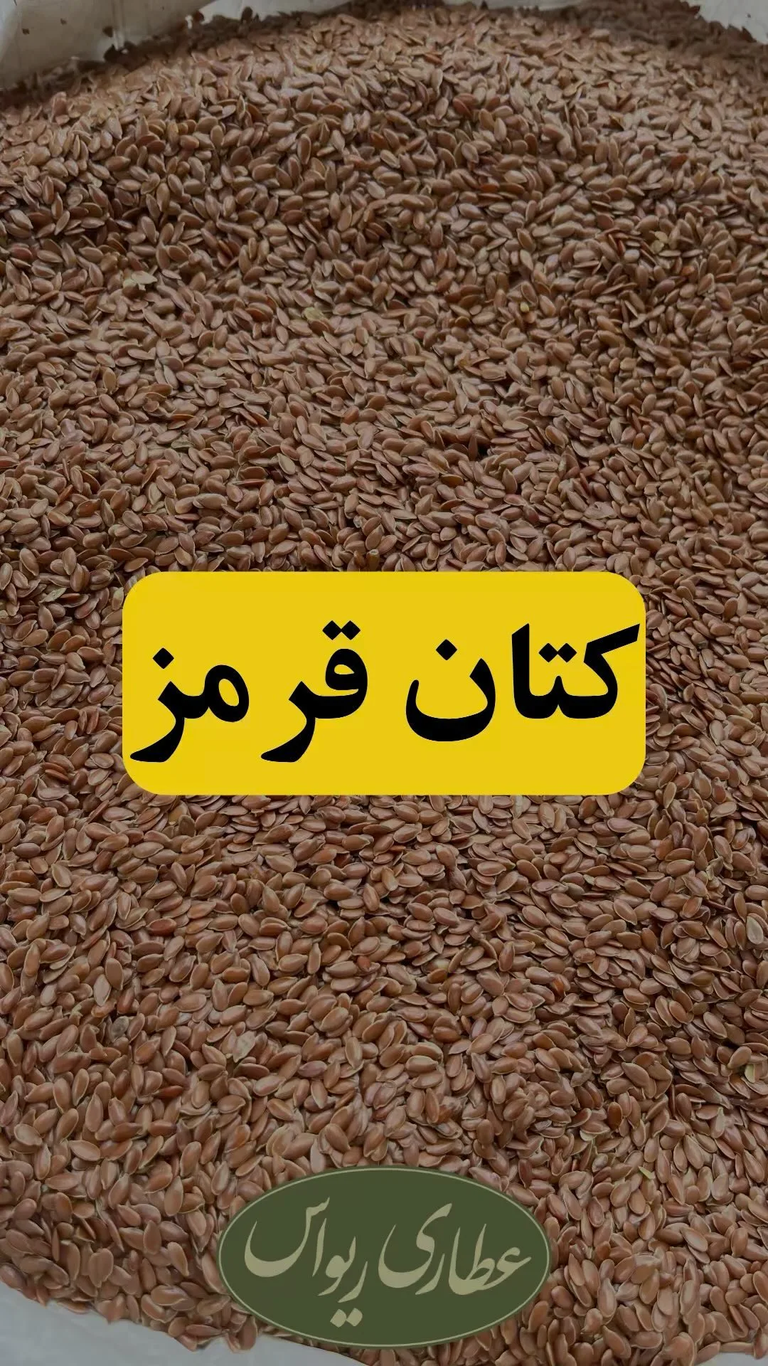 بذر کتان قرمز، رنگ قهوه‌ای مایل به قرمز، دانه