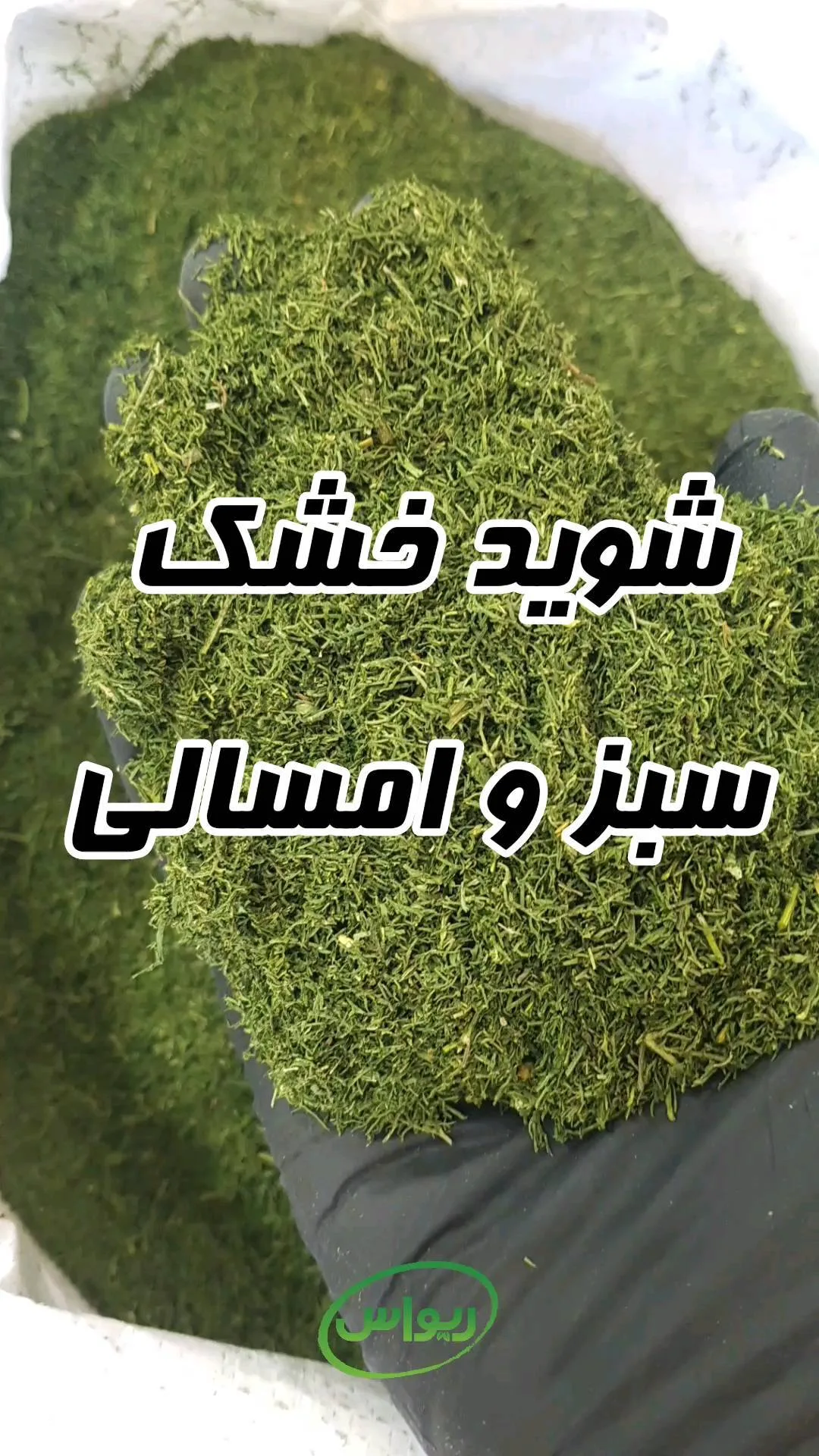 شوید خشک، رنگ سبز، خرد شده