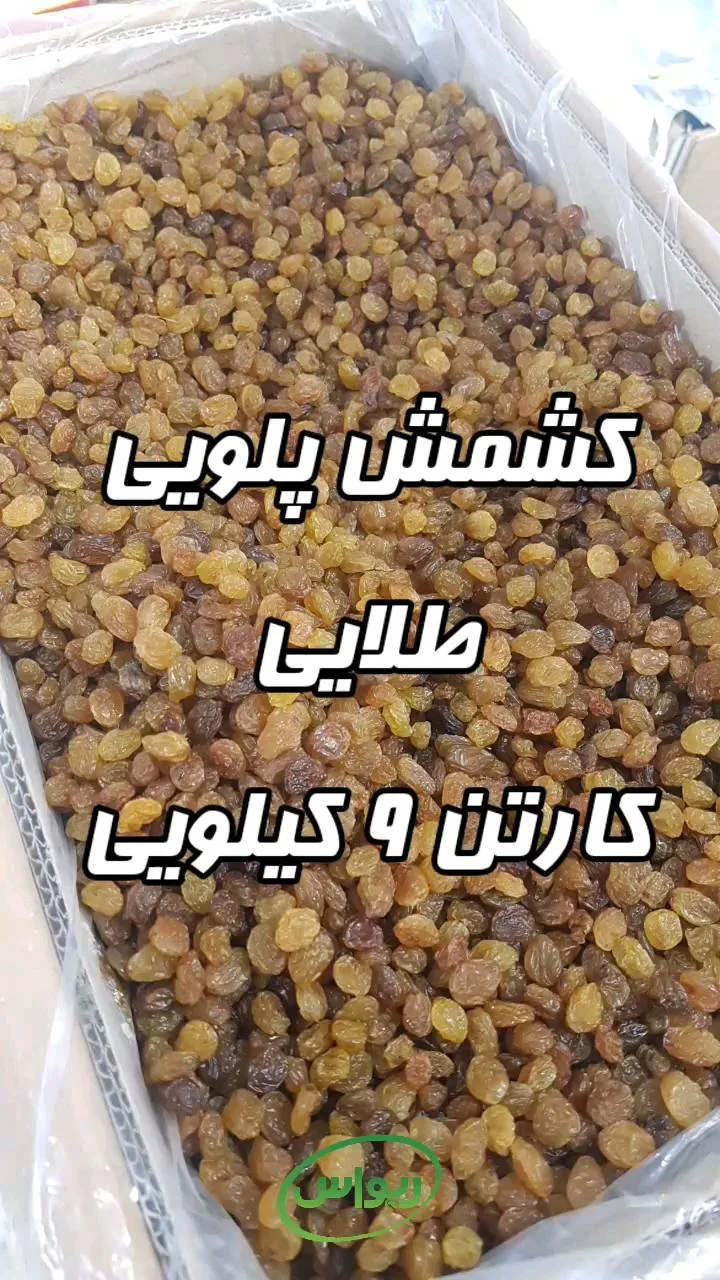 کشمش پلویی