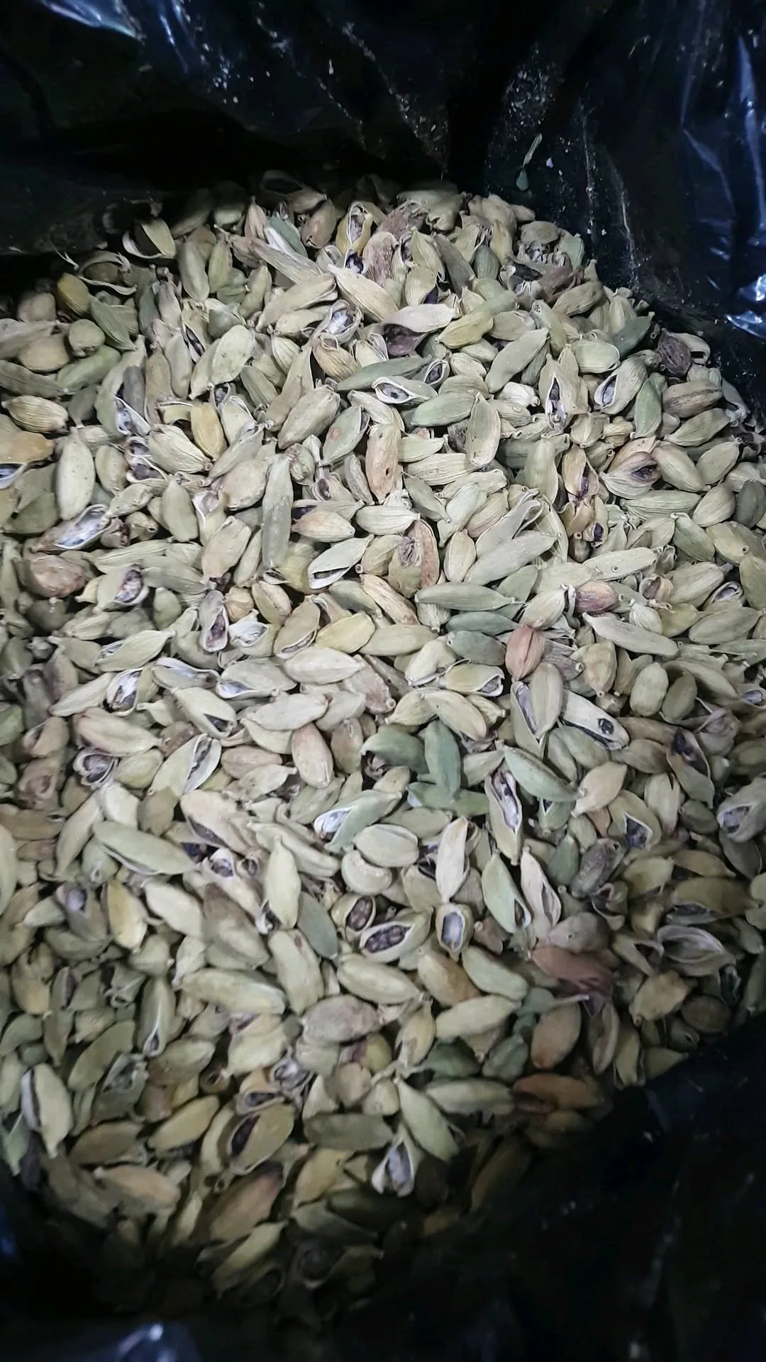 هل شکسته GOP