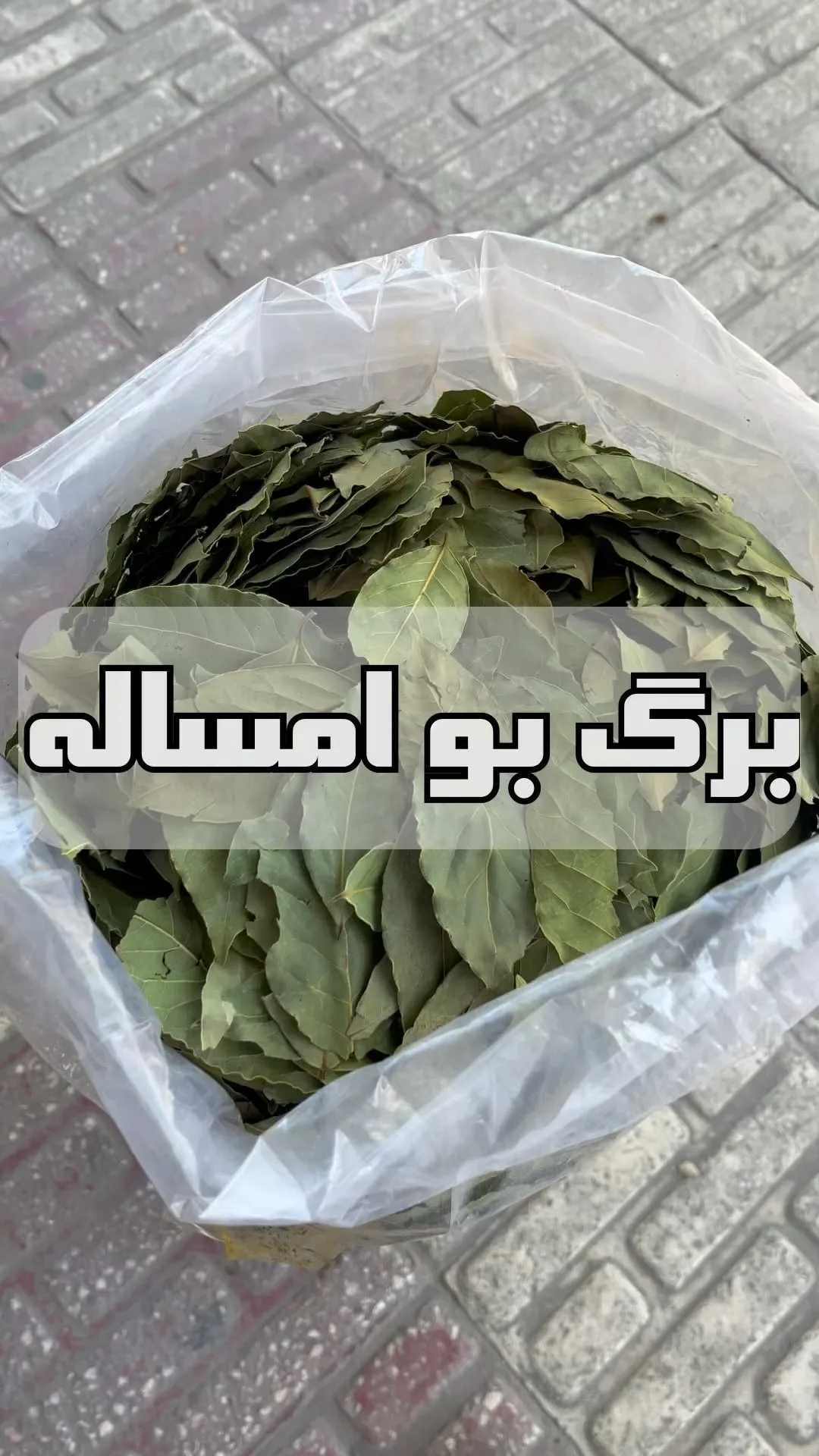 برگ بو امساله