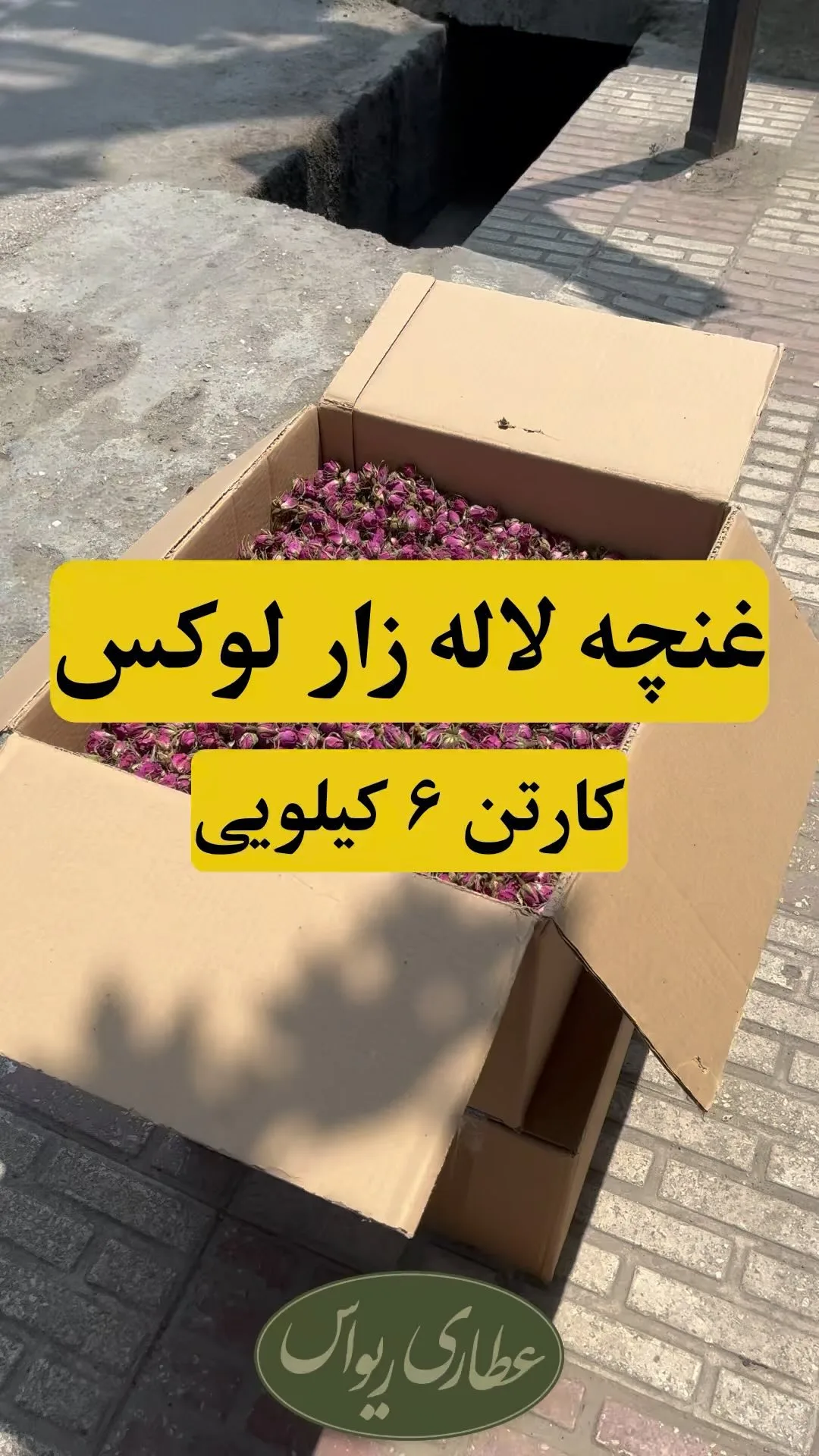 غنچه گل محمدی لاله‌زار لوکس، رنگ ارغوانی و صورتی، خشک شده، دانه‌ای