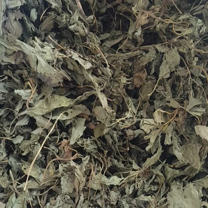 نعناع فلفلی برگ خشک، رنگ سبز و خاکستری