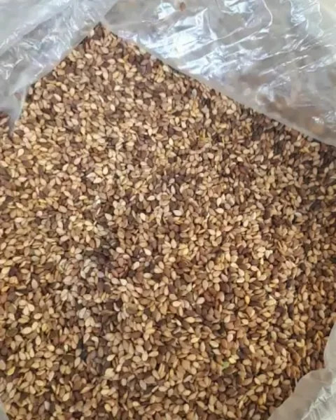 کنجد محلی