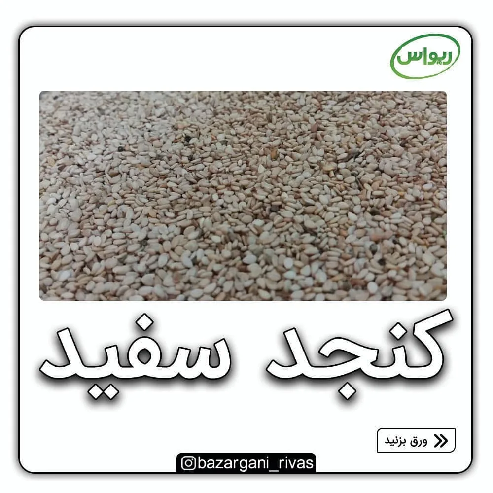 کنجد محلی مناسب روغن‌گیری، رنگ سفید و کرم، دانه ریز