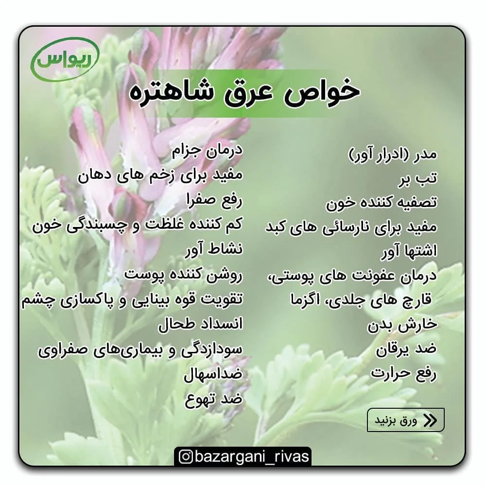 عرق شاه‌تره فله — عکس ۲