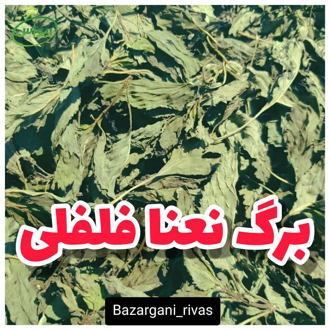 برگ نعناع فلفلی خشک، رنگ سبز، برگ خشک