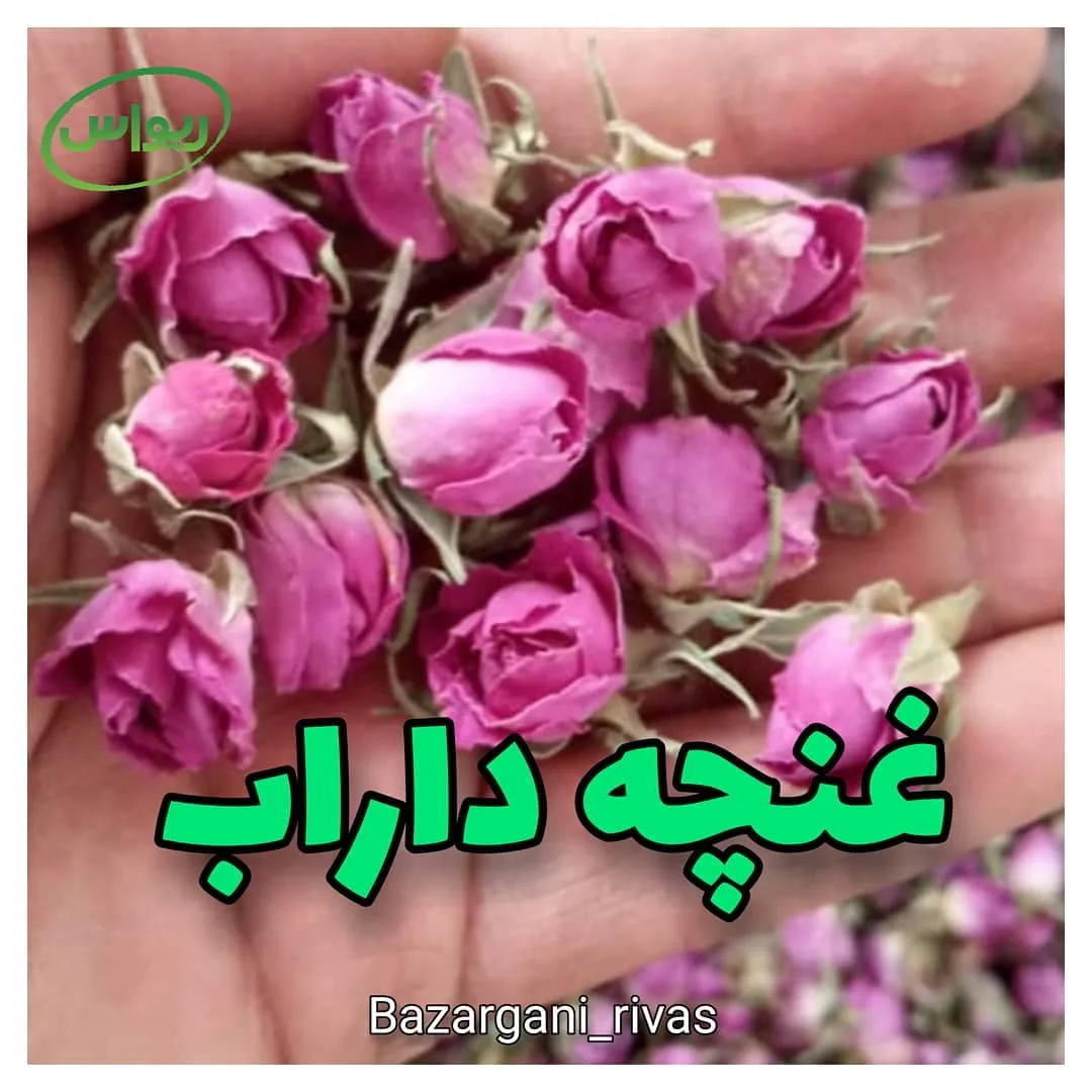 غنچه گل محمدی داراب، رنگ صورتی و بنفش، گل خشک