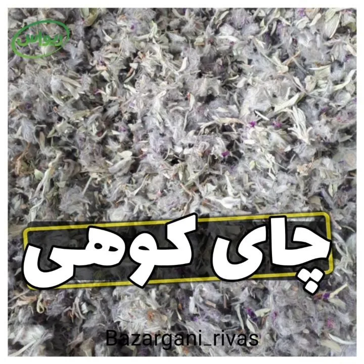 چای کوهی، رنگ سبز کمرنگ و خاکستری، گیاه خشک