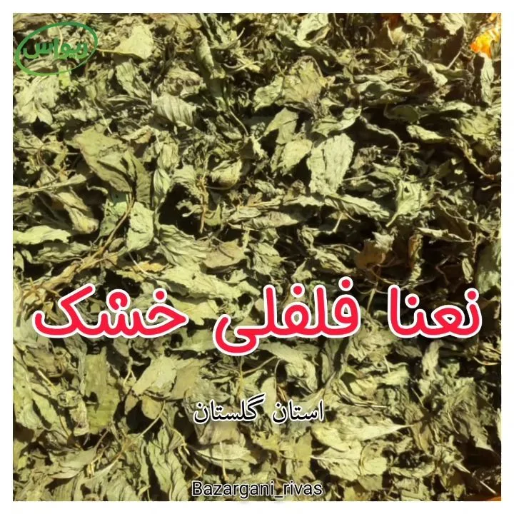 برگ نعناع فلفلی خشک، رنگ سبز زیتونی و سبز کمرنگ، برگ خشک