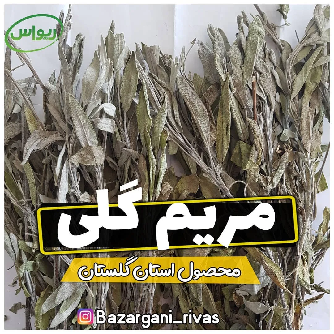 مریم‌گلی، رنگ سبز مایل به خاکستری، برگ خشک
