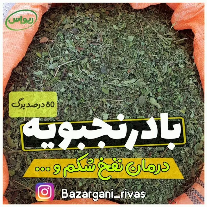 بادرنجبویه ۸۰٪ برگ، رنگ سبز تیره، گیاه خشک خرد شده