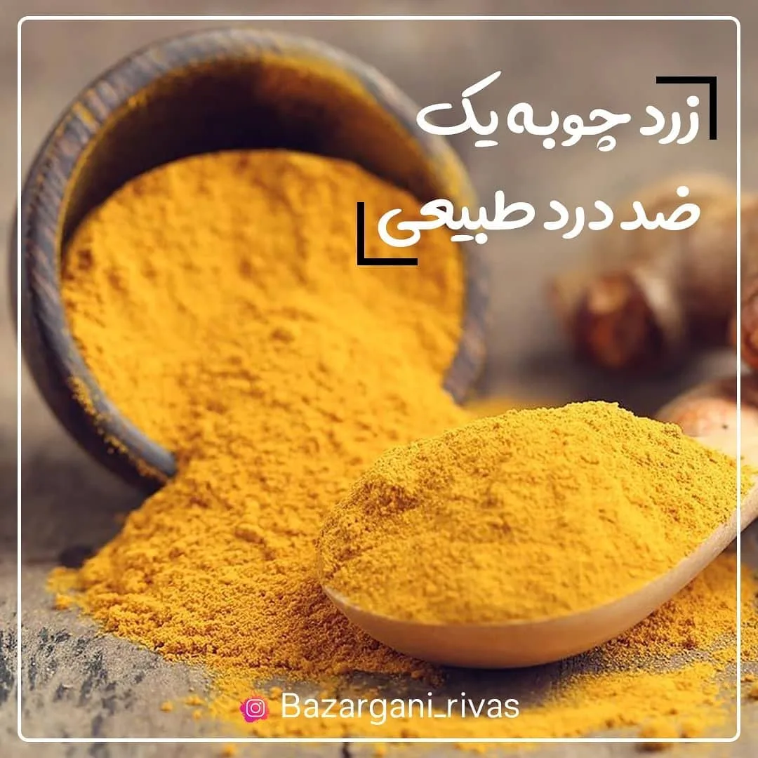 زردچوبه قلم هندی نظام‌آباد — عکس ۲